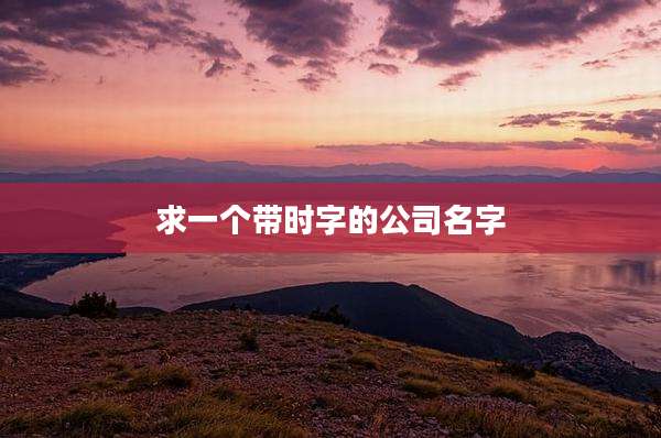 求一个带时字的公司名字