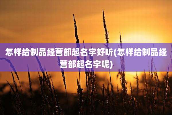 怎样给制品经营部起名字好听(怎样给制品经营部起名字呢)