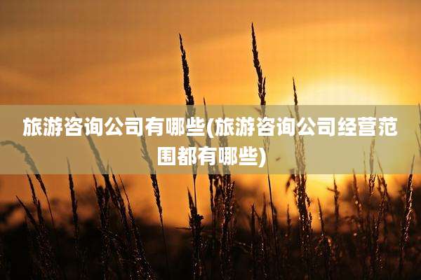 旅游咨询公司有哪些(旅游咨询公司经营范围都有哪些)