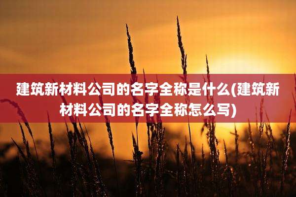 建筑新材料公司的名字全称是什么(建筑新材料公司的名字全称怎么写)