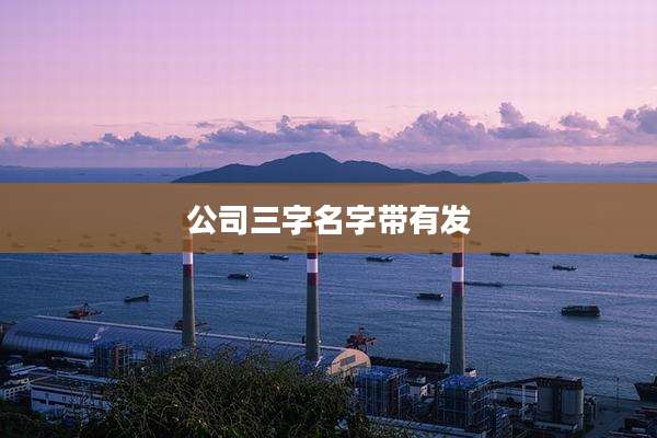 公司三字名字带有发