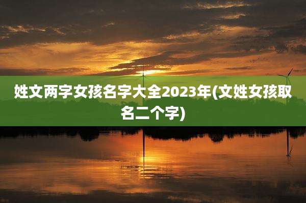 姓文两字女孩名字大全2023年(文姓女孩取名二个字)