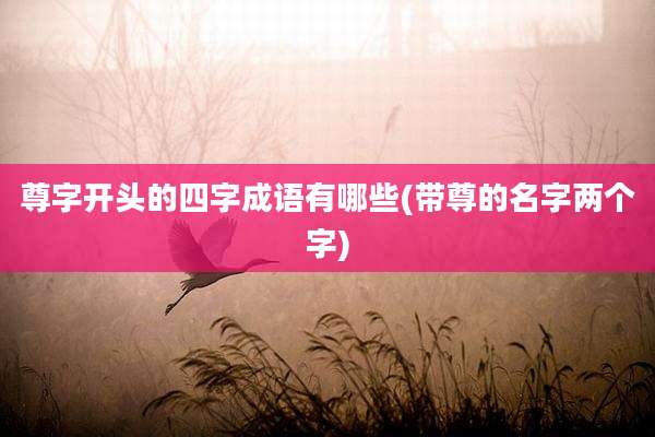 尊字开头的四字成语有哪些(带尊的名字两个字)