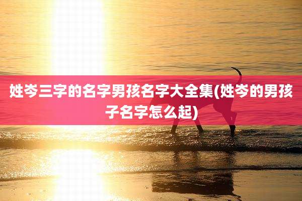 姓岑三字的名字男孩名字大全集(姓岑的男孩子名字怎么起)