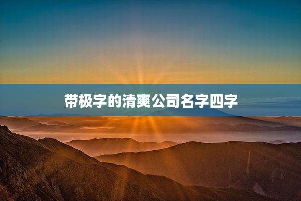 带极字的清爽公司名字四字