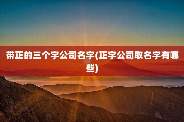 带正的三个字公司名字(正字公司取名字有哪些)