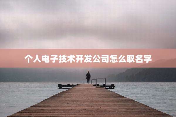 个人电子技术开发公司怎么取名字