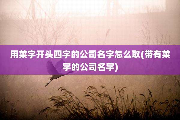 用莱字开头四字的公司名字怎么取(带有莱字的公司名字)