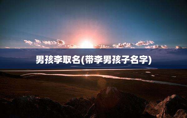 男孩李取名(带李男孩子名字)