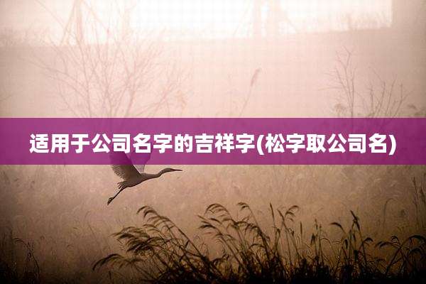 适用于公司名字的吉祥字(松字取公司名)