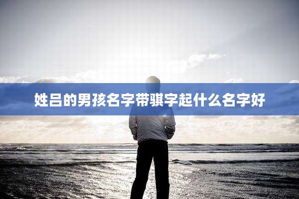 姓吕的男孩名字带骐字起什么名字好