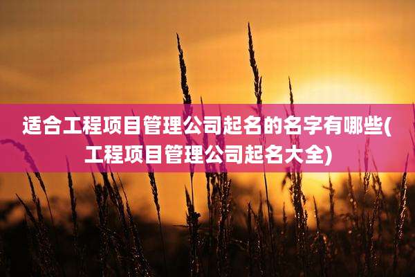 适合工程项目管理公司起名的名字有哪些(工程项目管理公司起名大全)