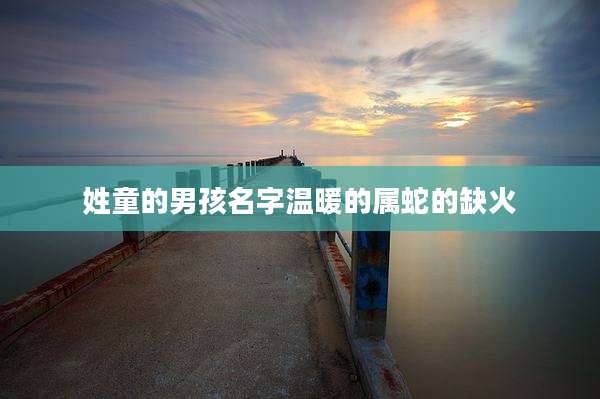 姓童的男孩名字温暖的属蛇的缺火