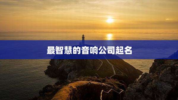 最智慧的音响公司起名