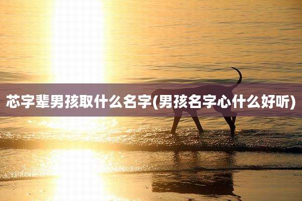 芯字辈男孩取什么名字(男孩名字心什么好听)