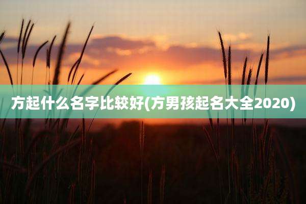 方起什么名字比较好(方男孩起名大全2020)