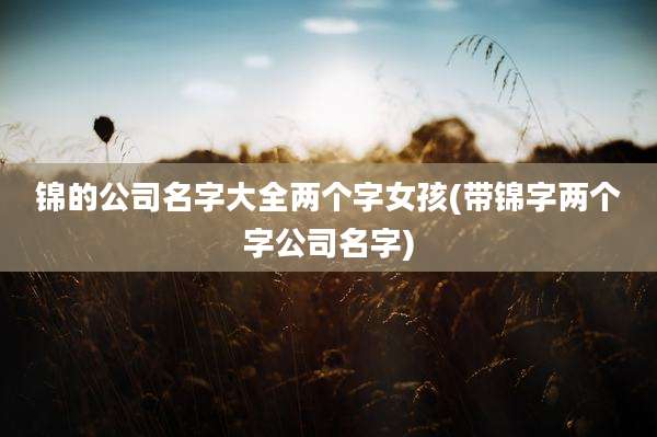 锦的公司名字大全两个字女孩(带锦字两个字公司名字)