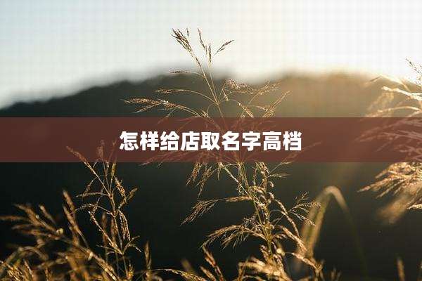 怎样给店取名字高档
