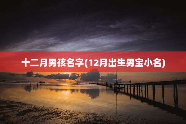 十二月男孩名字(12月出生男宝小名)
