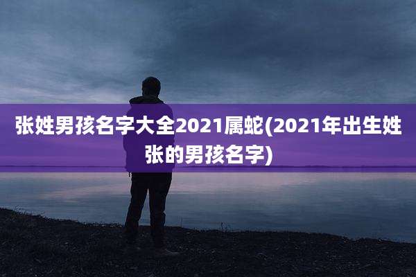 张姓男孩名字大全2021属蛇(2021年出生姓张的男孩名字)