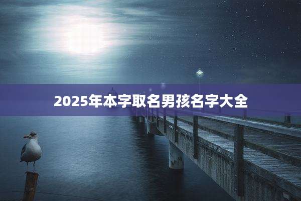 2025年本字取名男孩名字大全