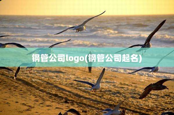 钢管公司logo(钢管公司起名)