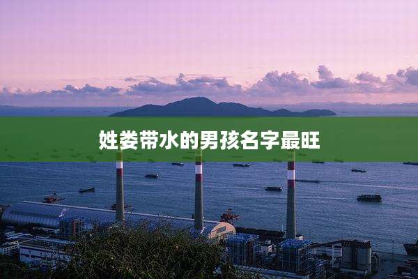 姓娄带水的男孩名字最旺
