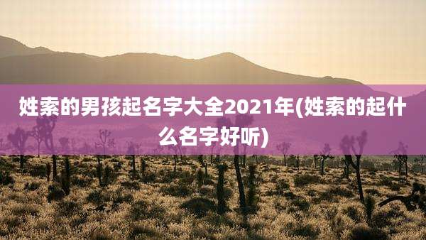 姓索的男孩起名字大全2021年(姓索的起什么名字好听)
