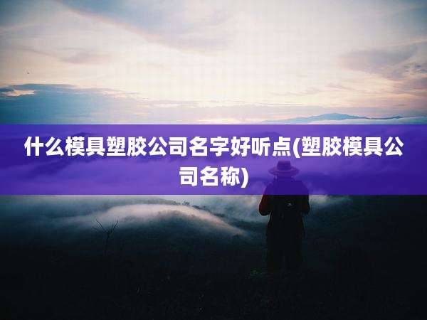什么模具塑胶公司名字好听点(塑胶模具公司名称)