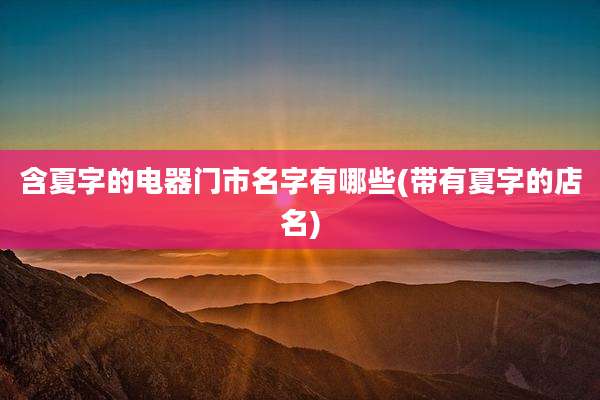 含夏字的电器门市名字有哪些(带有夏字的店名)