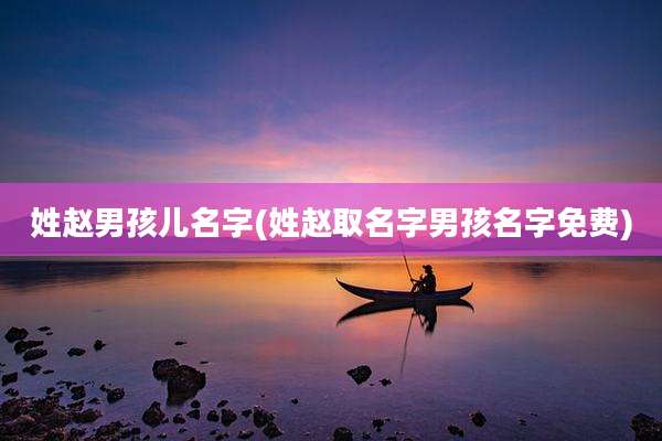 姓赵男孩儿名字(姓赵取名字男孩名字免费)