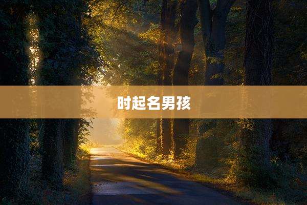 时起名男孩
