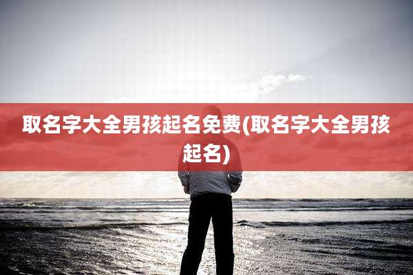 取名字大全男孩起名免费(取名字大全男孩起名)