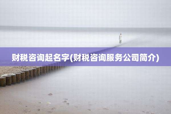 财税咨询起名字(财税咨询服务公司简介)