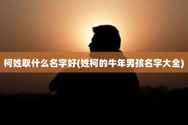 柯姓取什么名字好(姓柯的牛年男孩名字大全)