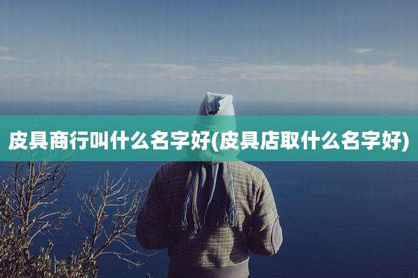 皮具商行叫什么名字好(皮具店取什么名字好)