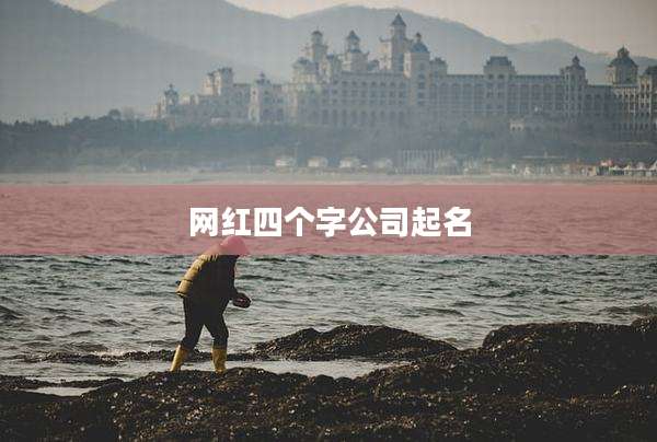 网红四个字公司起名