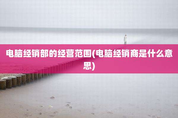 电脑经销部的经营范围(电脑经销商是什么意思)