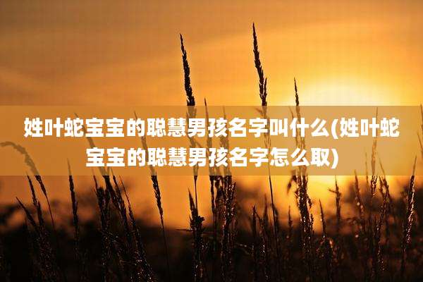 姓叶蛇宝宝的聪慧男孩名字叫什么(姓叶蛇宝宝的聪慧男孩名字怎么取)
