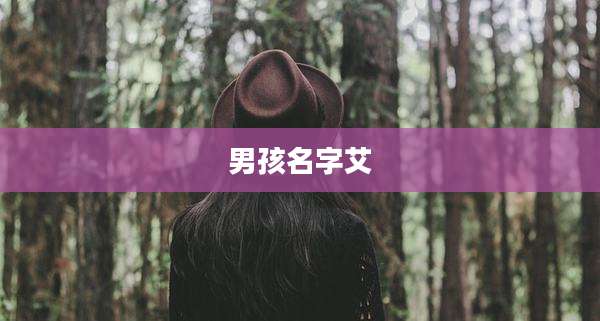 男孩名字艾