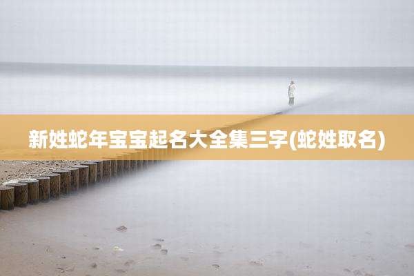 新姓蛇年宝宝起名大全集三字(蛇姓取名)