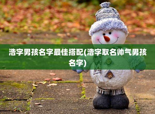 浩字男孩名字最佳搭配(浩字取名帅气男孩名字)