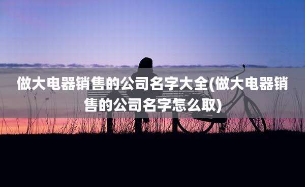 做大电器销售的公司名字大全(做大电器销售的公司名字怎么取)
