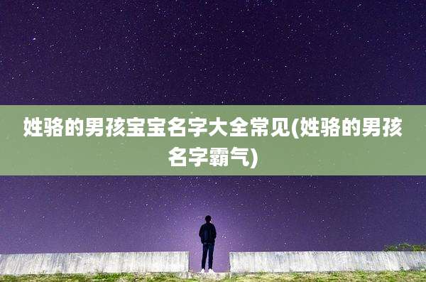 姓骆的男孩宝宝名字大全常见(姓骆的男孩名字霸气)
