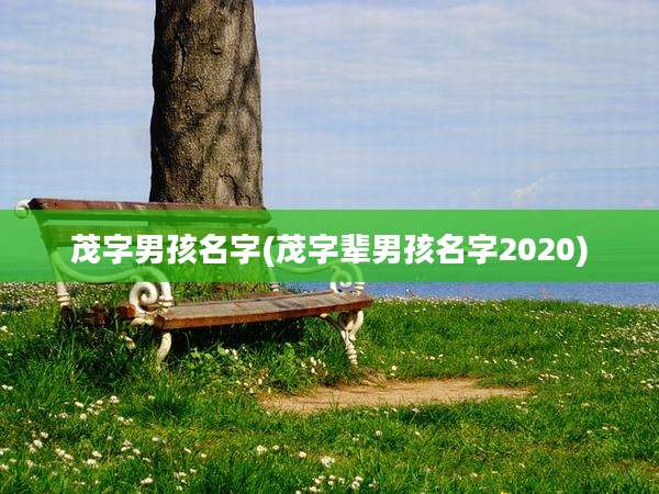 茂字男孩名字(茂字辈男孩名字2020)