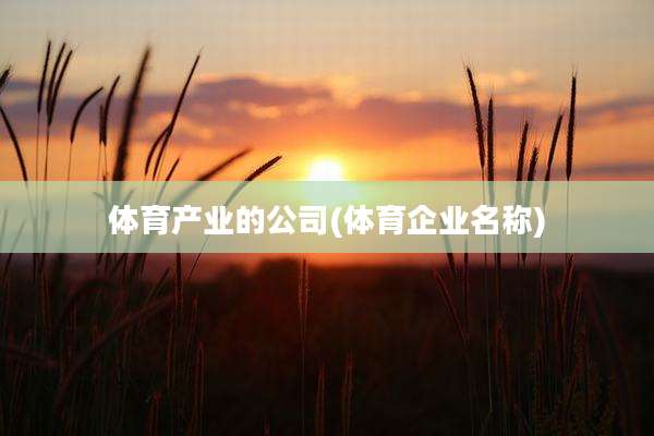 体育产业的公司(体育企业名称)