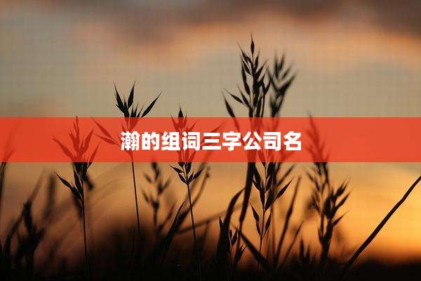 瀚的组词三字公司名
