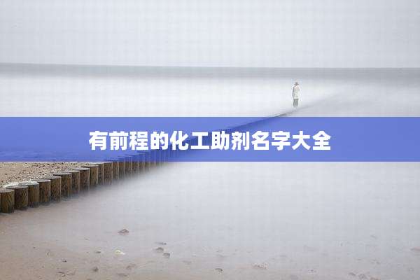 有前程的化工助剂名字大全
