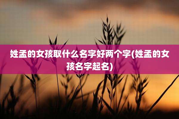 姓孟的女孩取什么名字好两个字(姓孟的女孩名字起名)