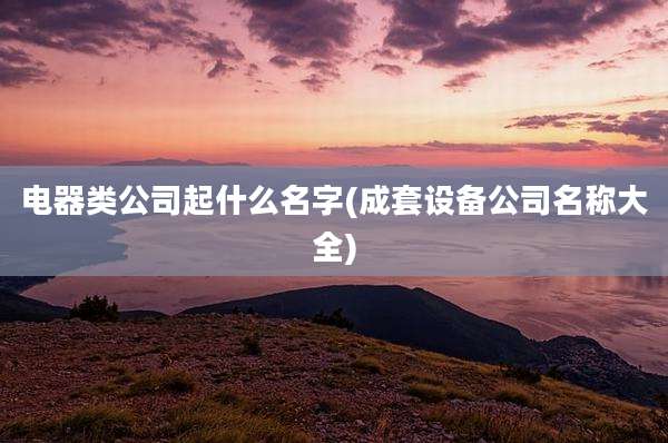 电器类公司起什么名字(成套设备公司名称大全)